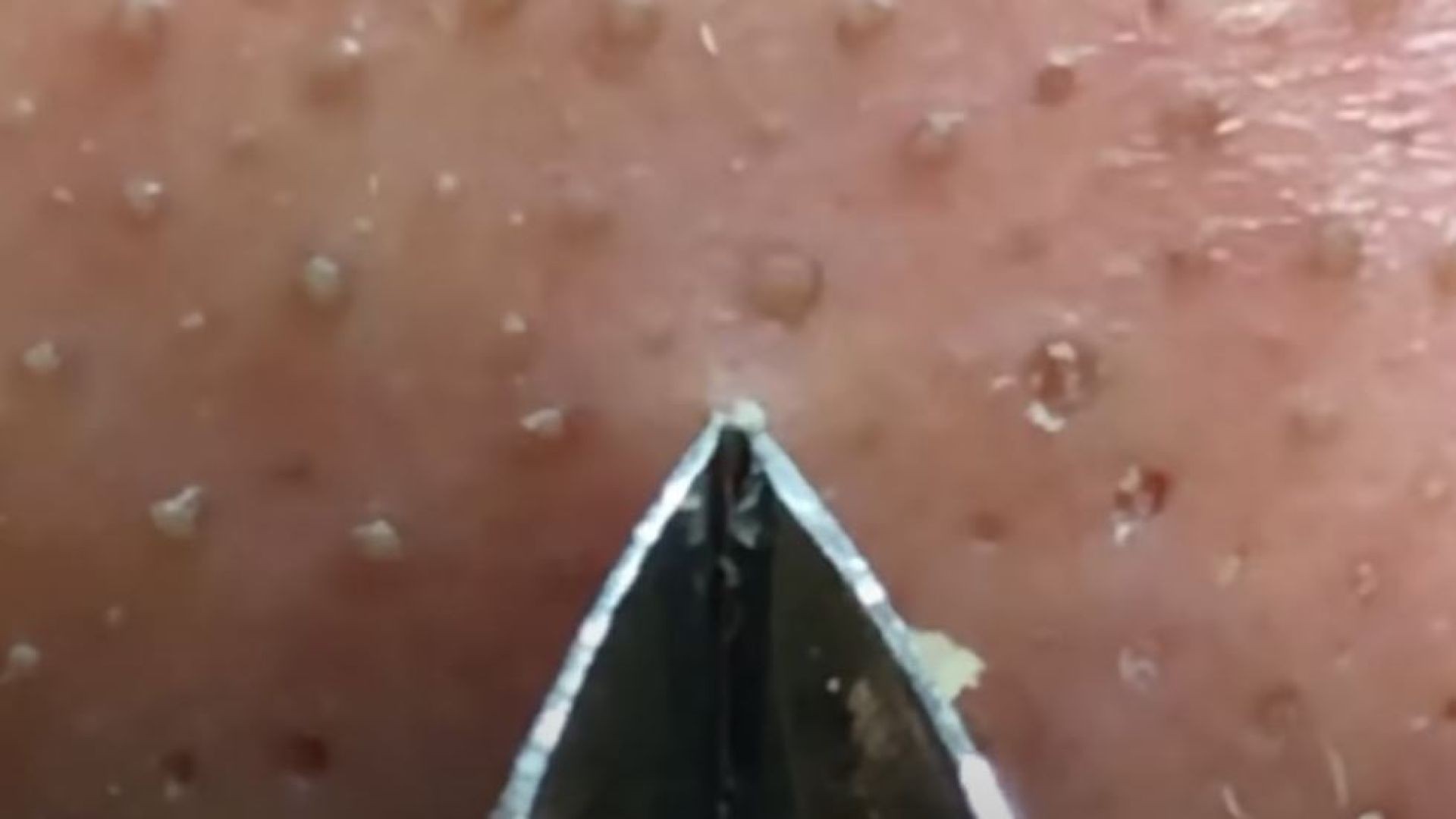 Make Your Day Satisfying with An Popping New Videos #08